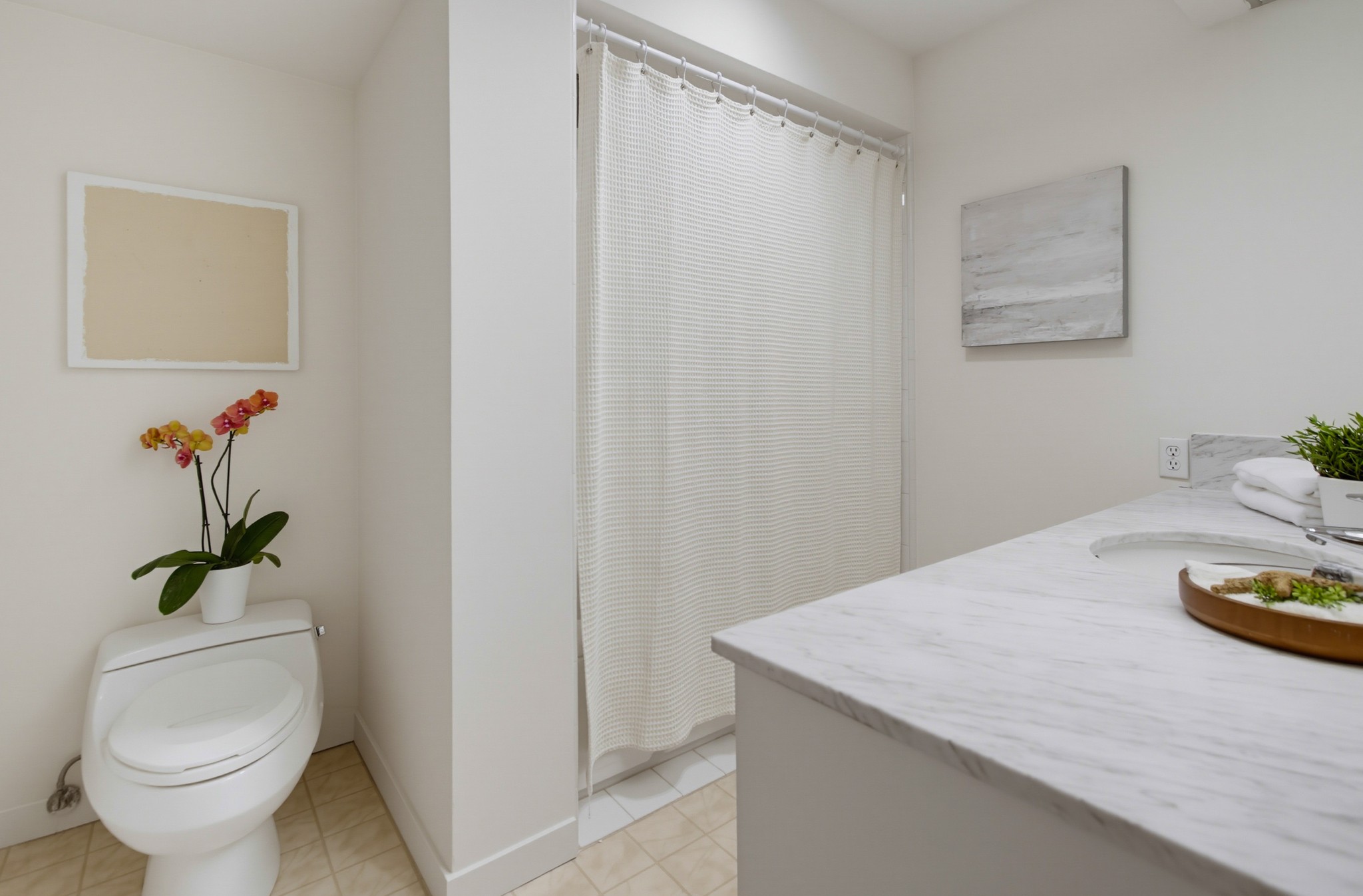 Virtual tour photo 76 of 102 for 800 Prospect St Unit 3C