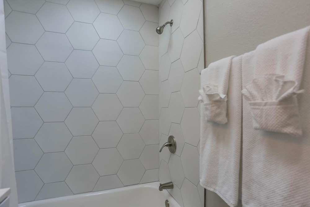 Virtual tour photo 45 of 56 for 803 San Luis Obispo Pl