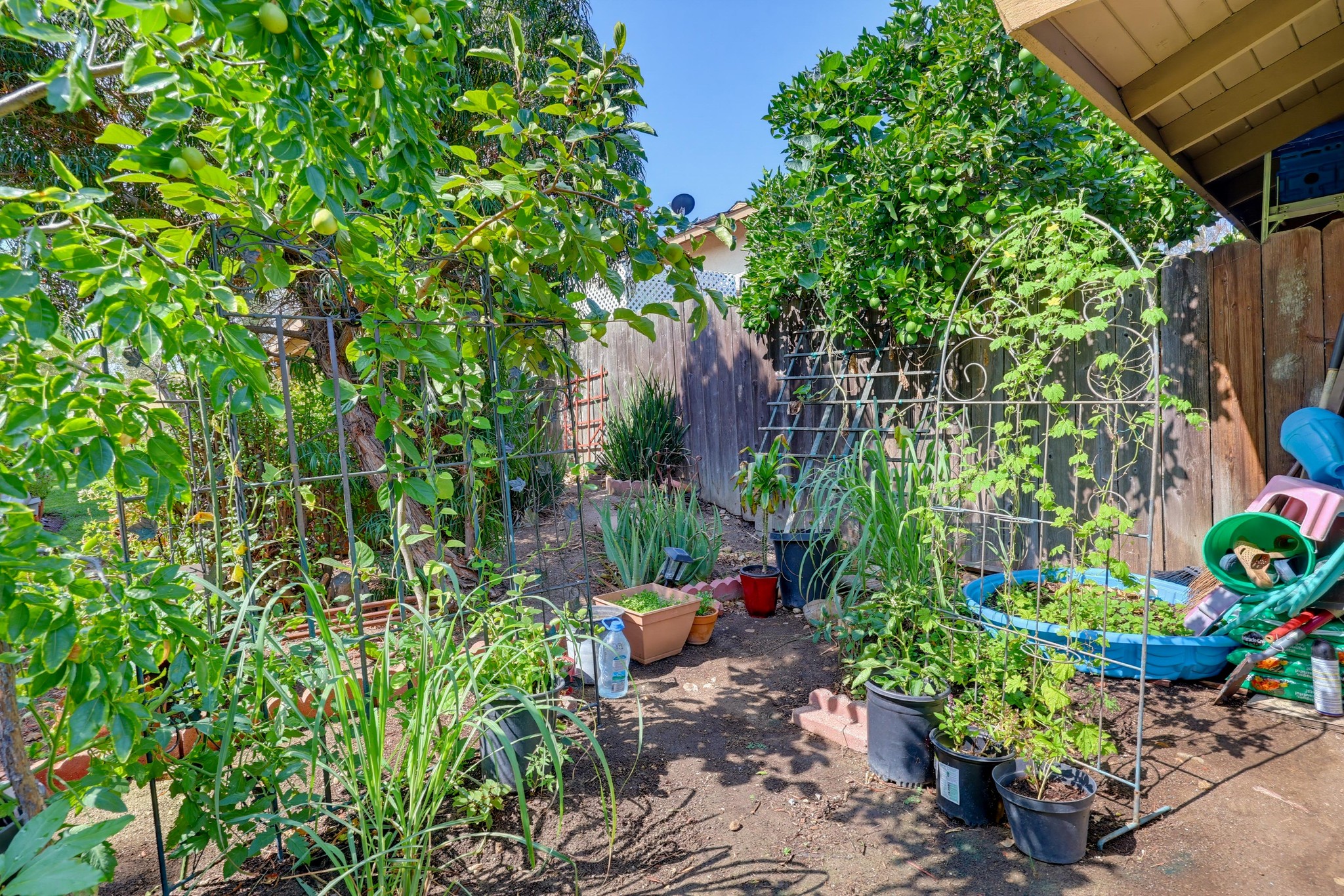 Virtual tour photo 46 of 63 for 8035 Calle Fanita