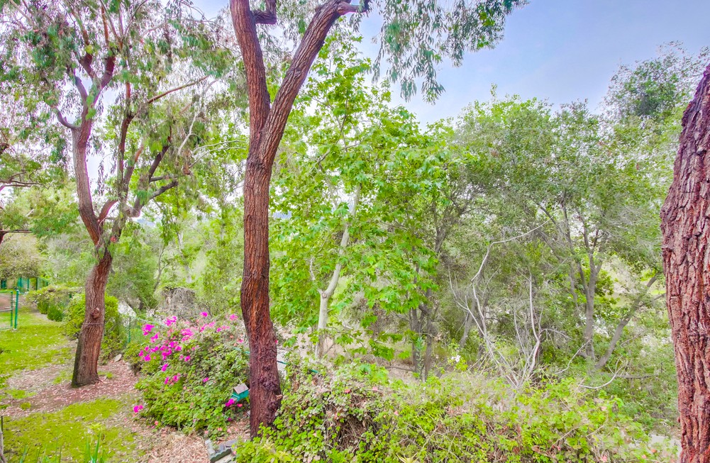Virtual tour photo 31 of 37 for 8079 Caminito De Pizza h