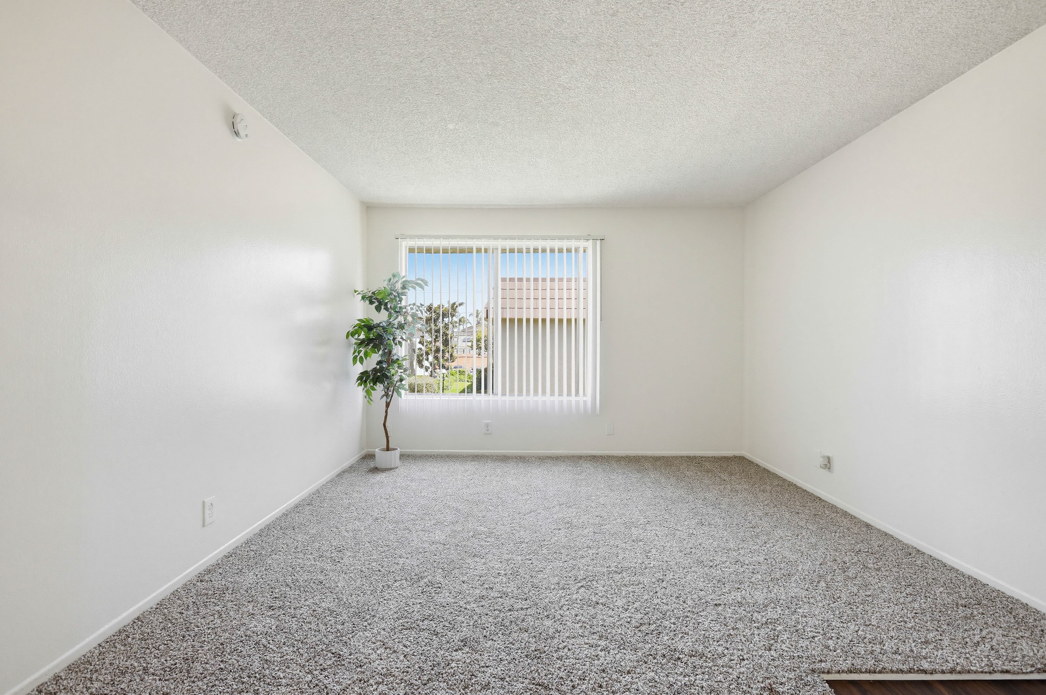 Virtual tour photo 45 of 99 for 8081 Holland Dr
