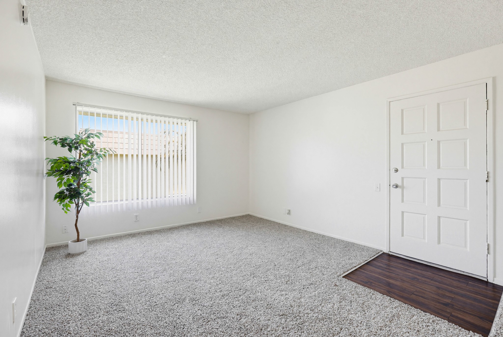 Virtual tour photo 47 of 99 for 8081 Holland Dr