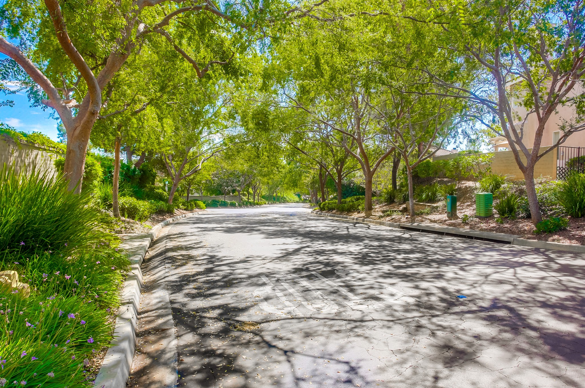 Virtual tour photo 69 of 76 for 820 Culloden Ct