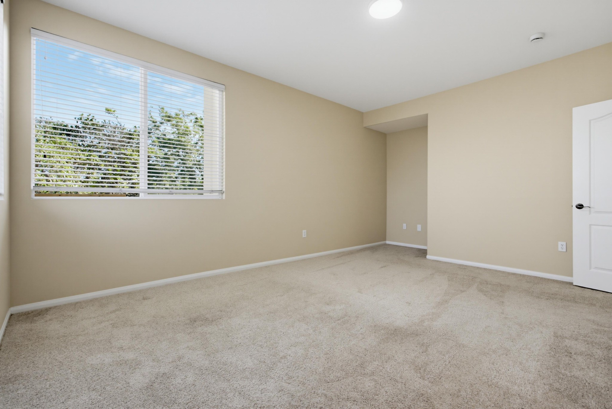 Virtual tour photo 29 of 50 for 823 Kalpati Cir Unit 201