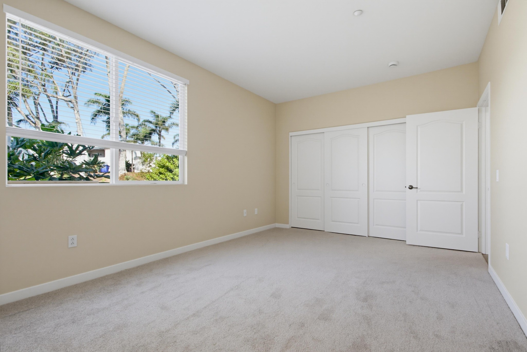 Virtual tour photo 42 of 50 for 823 Kalpati Cir Unit 201