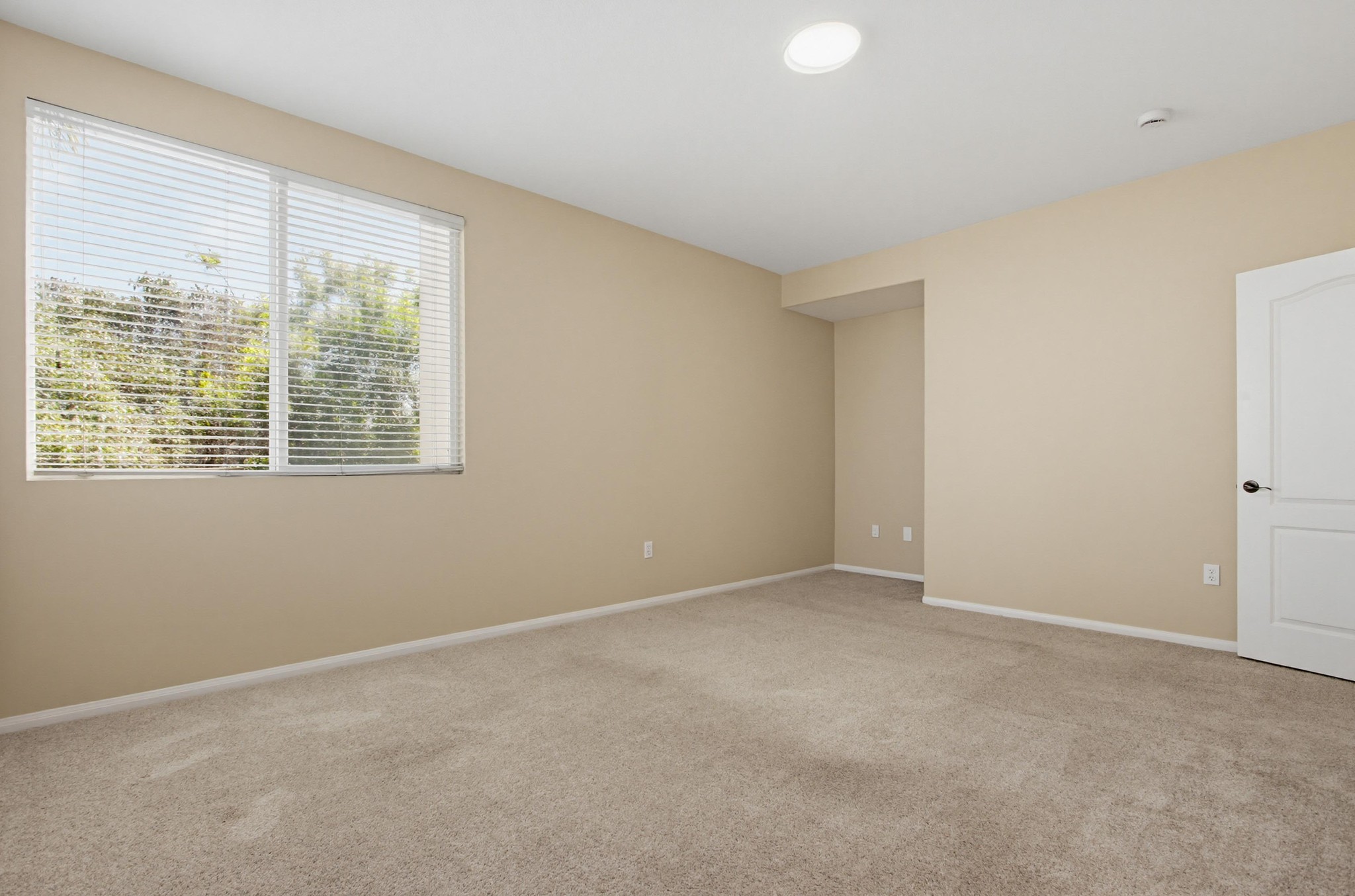 Virtual tour photo 38 of 57 for 823 Kalpati Cir Unit 201