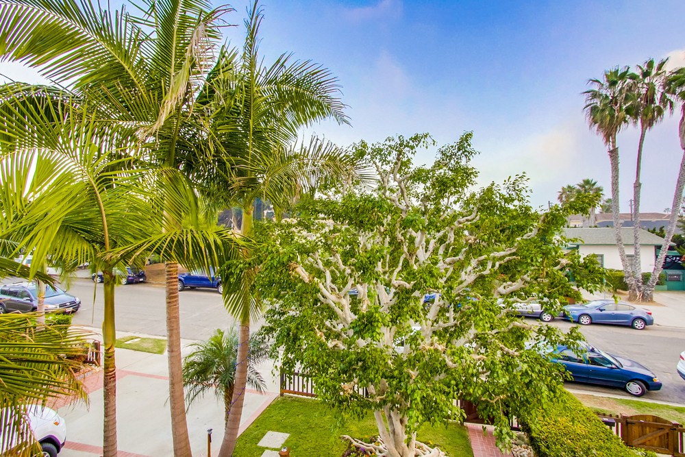 Virtual tour photo 55 of 67 for 830 Agate St