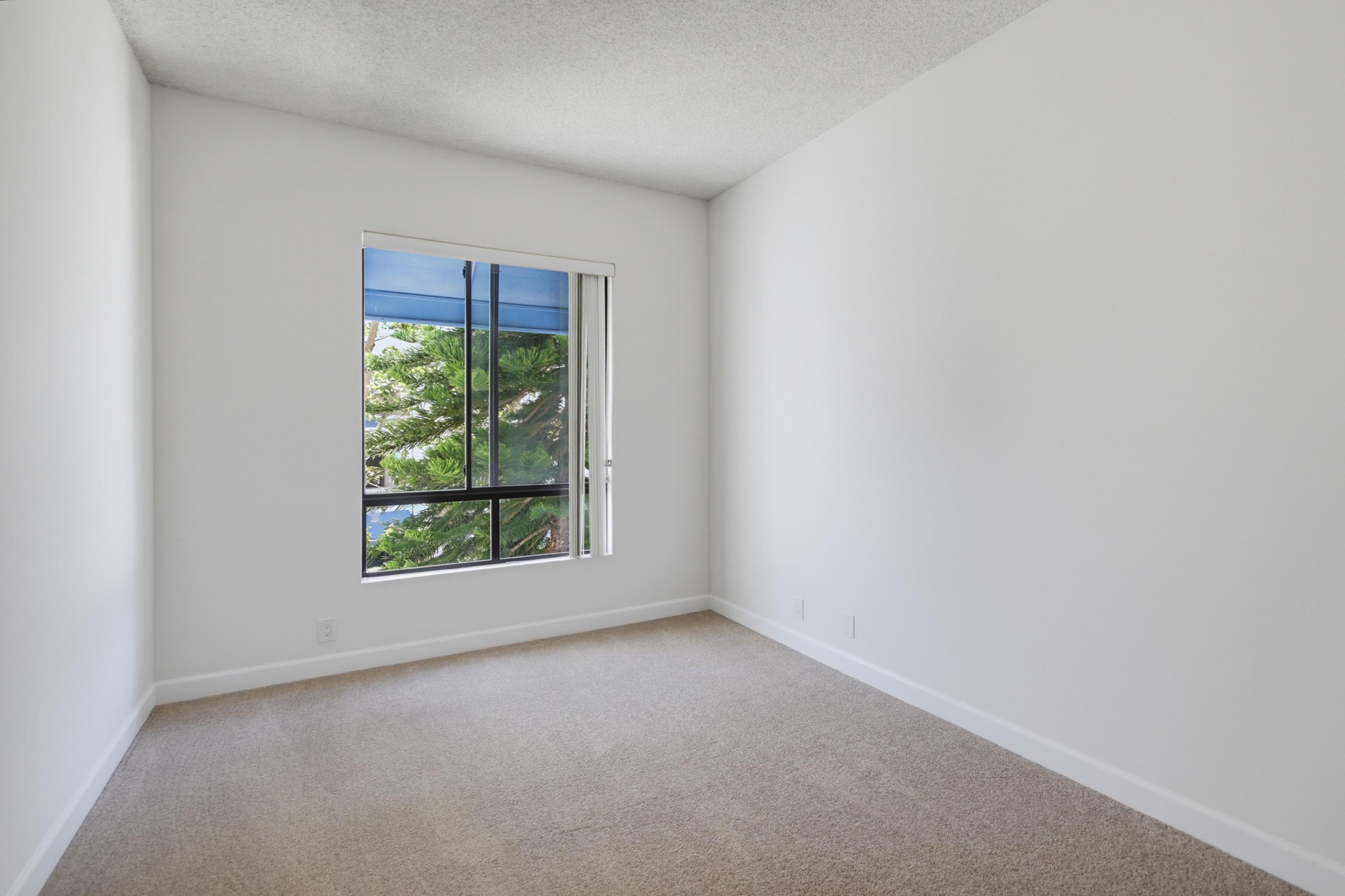 Virtual tour photo 21 of 32 for 8310 Regents Rd Unit 2A