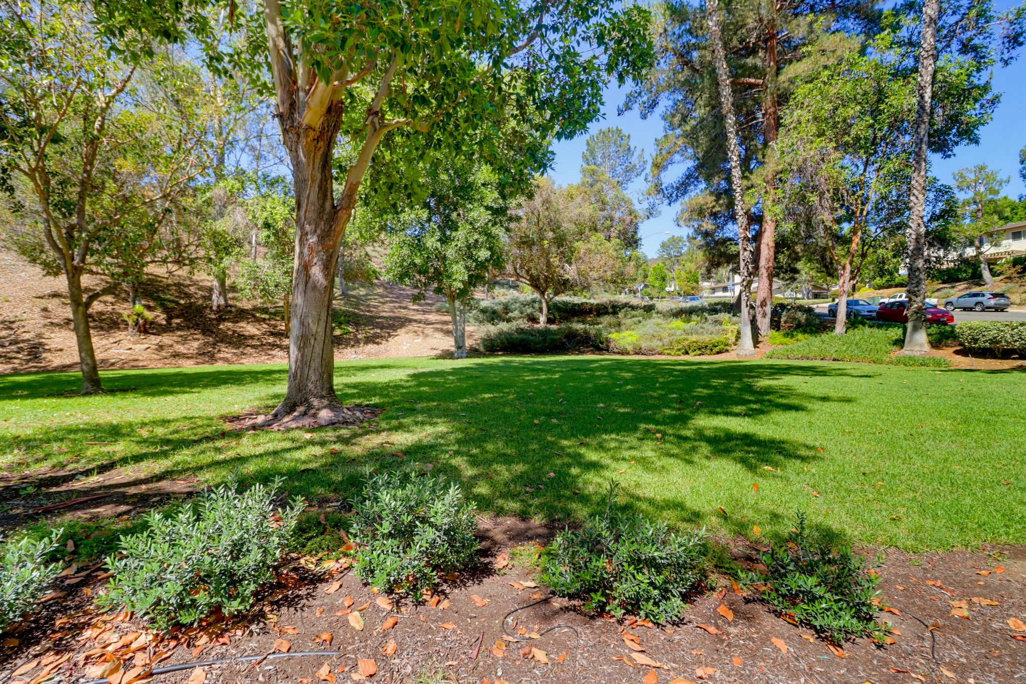 Virtual tour photo 46 of 49 for 8391 Suntree Pl