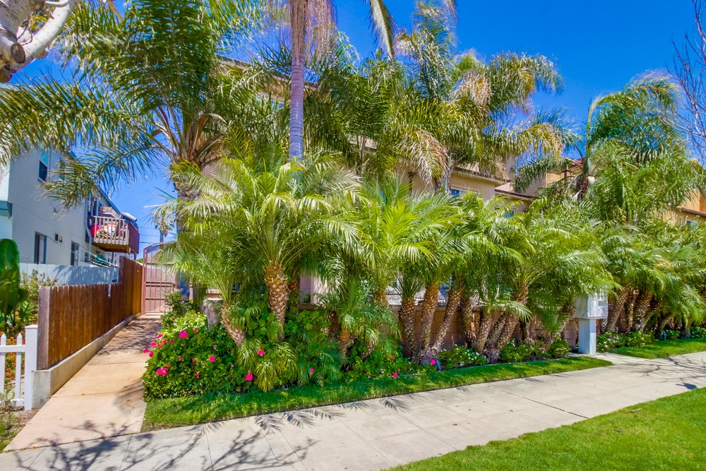 Virtual tour photo 1 of 49 for 850 Felspar St