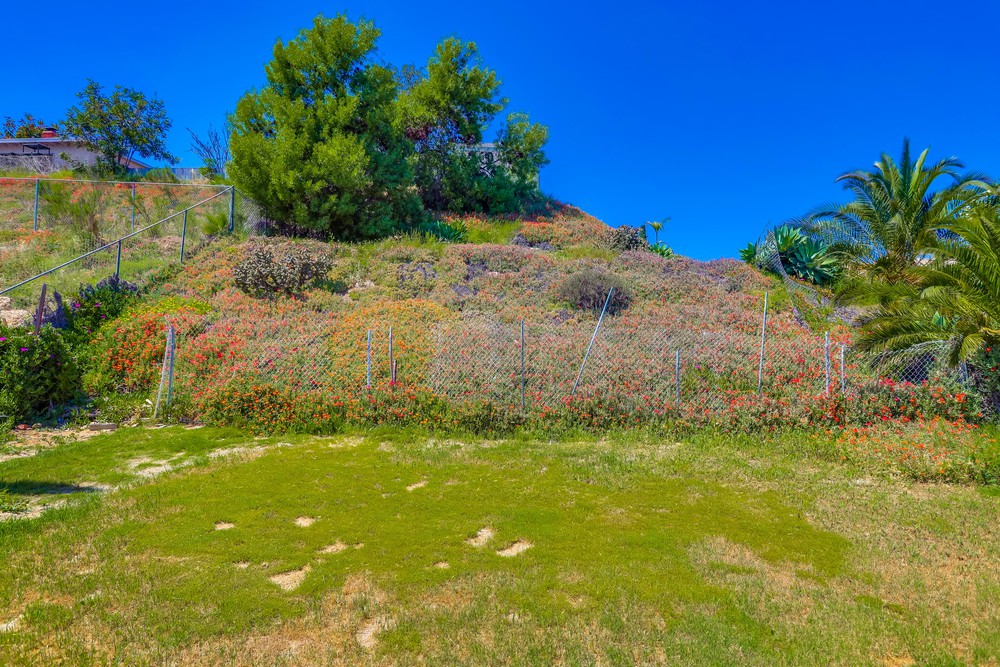 Virtual tour photo 30 of 32 for 8572 Miguel Vista Pl