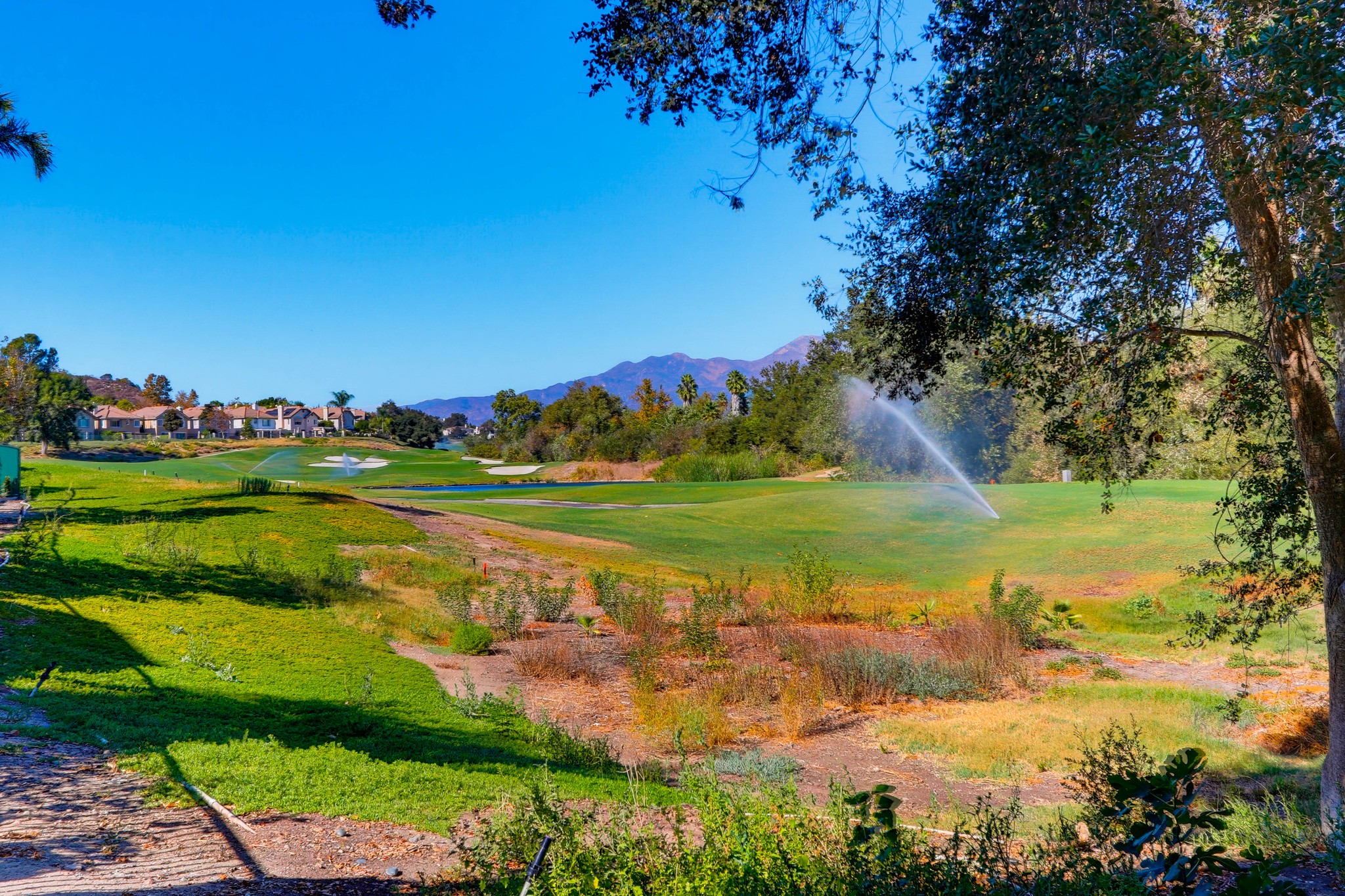 Virtual tour photo 47 of 51 for 86 Dornoch Way