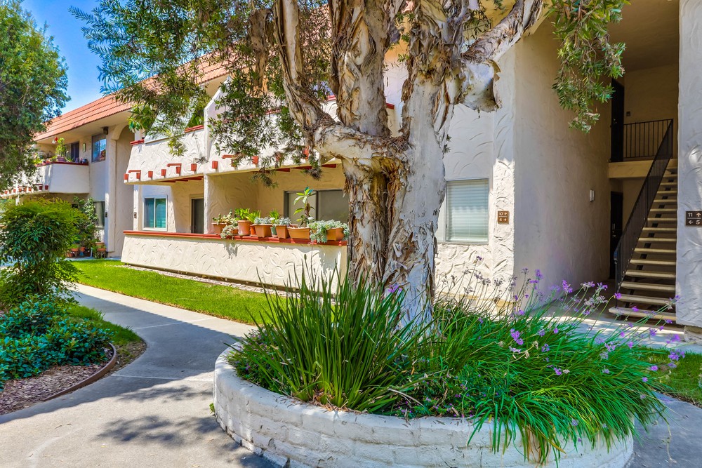 Virtual tour photo 1 of 26 for 8609 Lake Murray Blvd UNIT 10