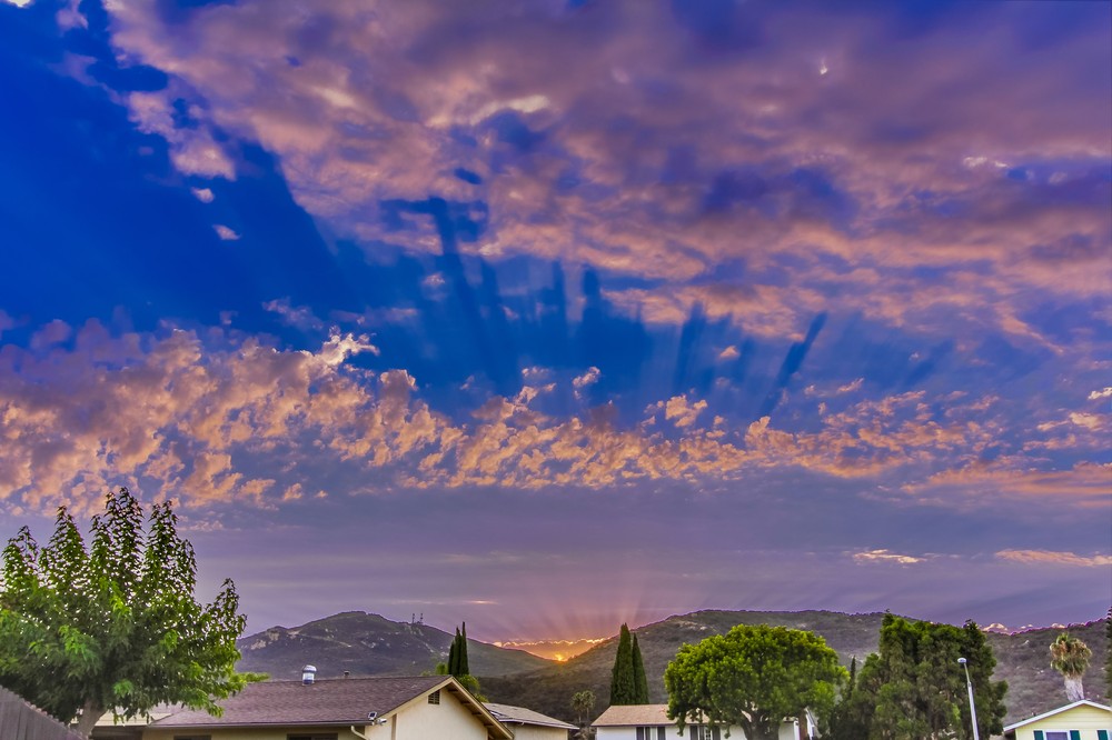 Virtual tour photo 14 of 68 for 8629 Warmwell Drive