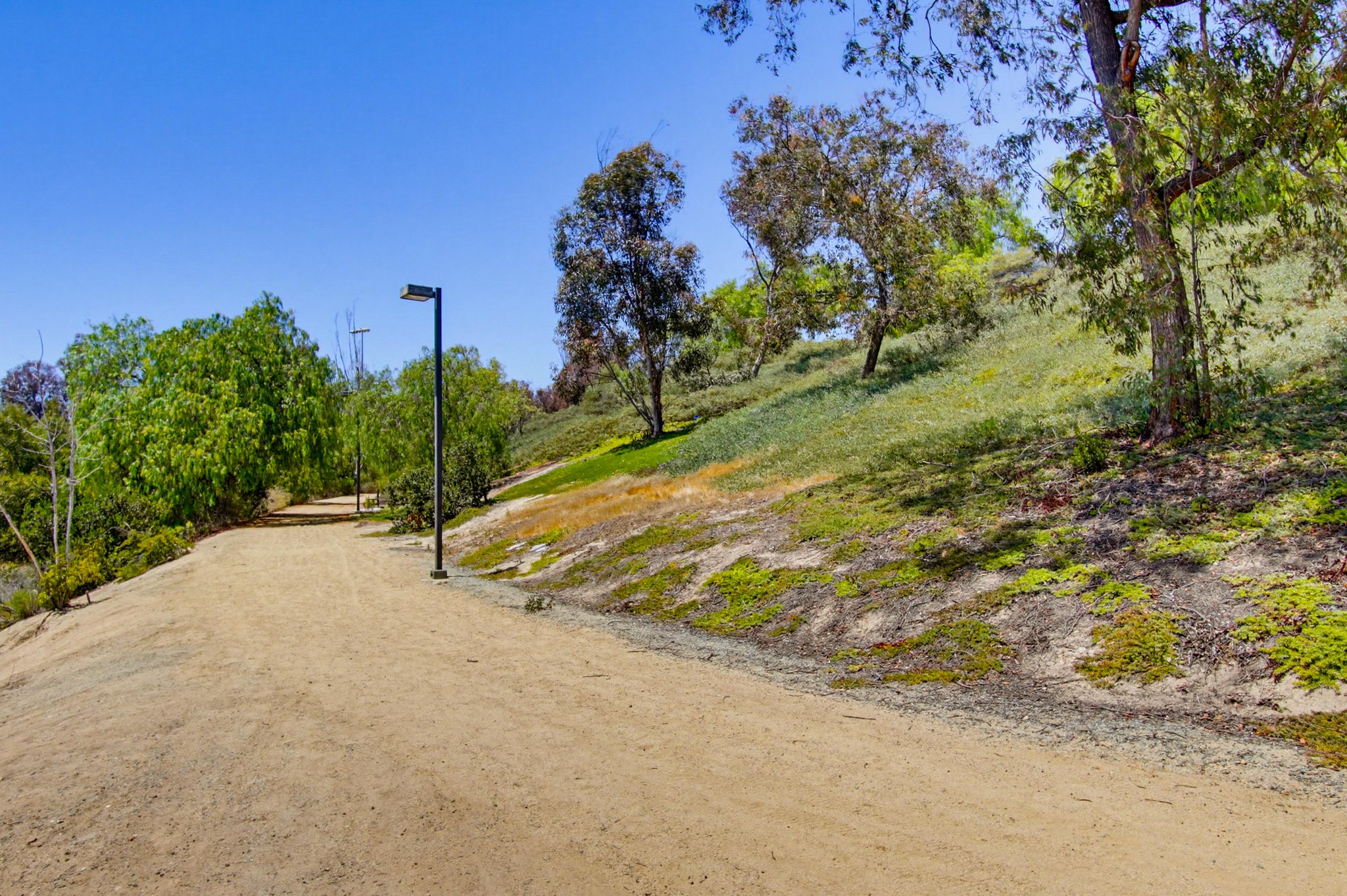 Virtual tour photo 63 of 66 for 866 Yosemite Dr