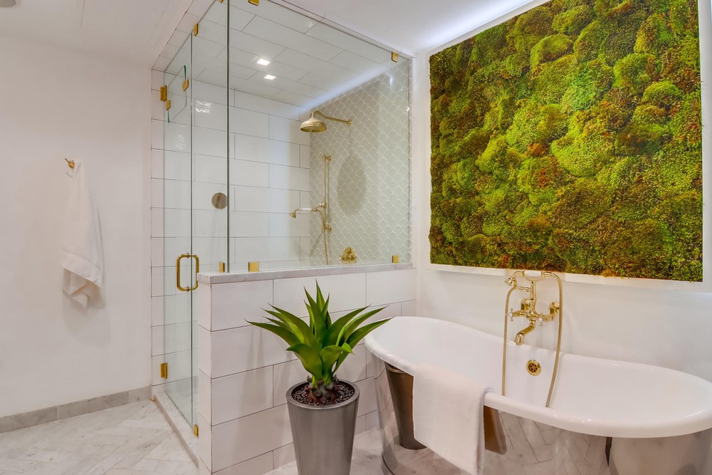 Virtual tour photo 51 of 56 for 877 Island Ave