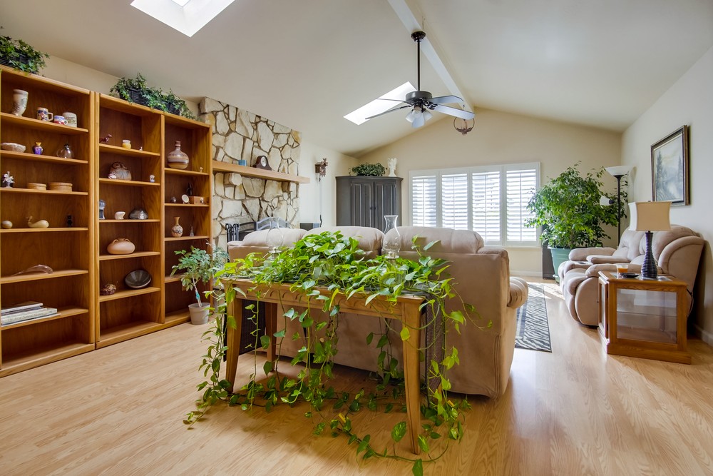 Virtual tour photo 12 of 47 for 9054 Hatcher Ln