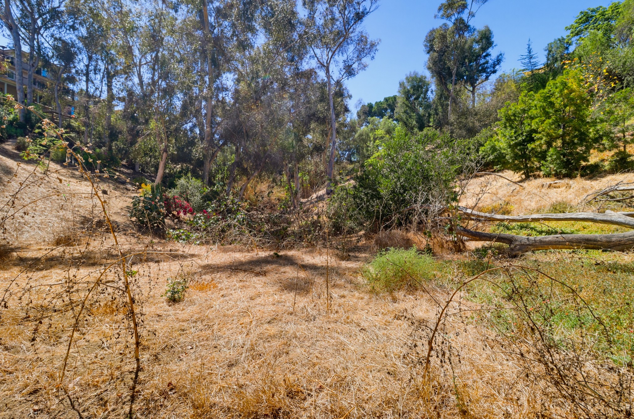 Virtual tour photo 46 of 50 for 917 Torrance St
