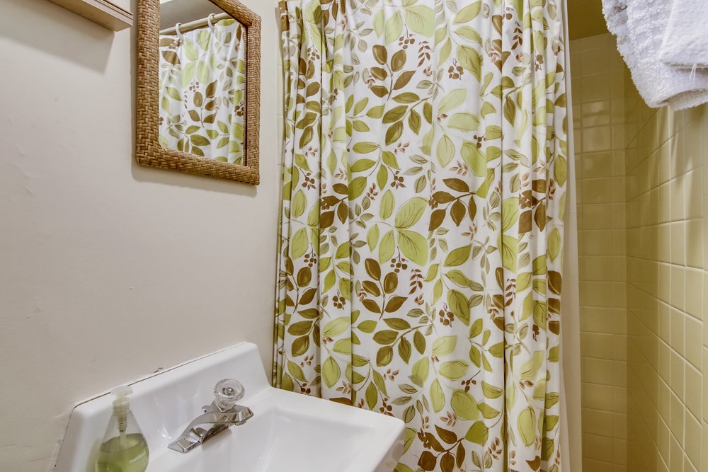 Virtual tour photo 40 of 106 for 919 Braemar Ln