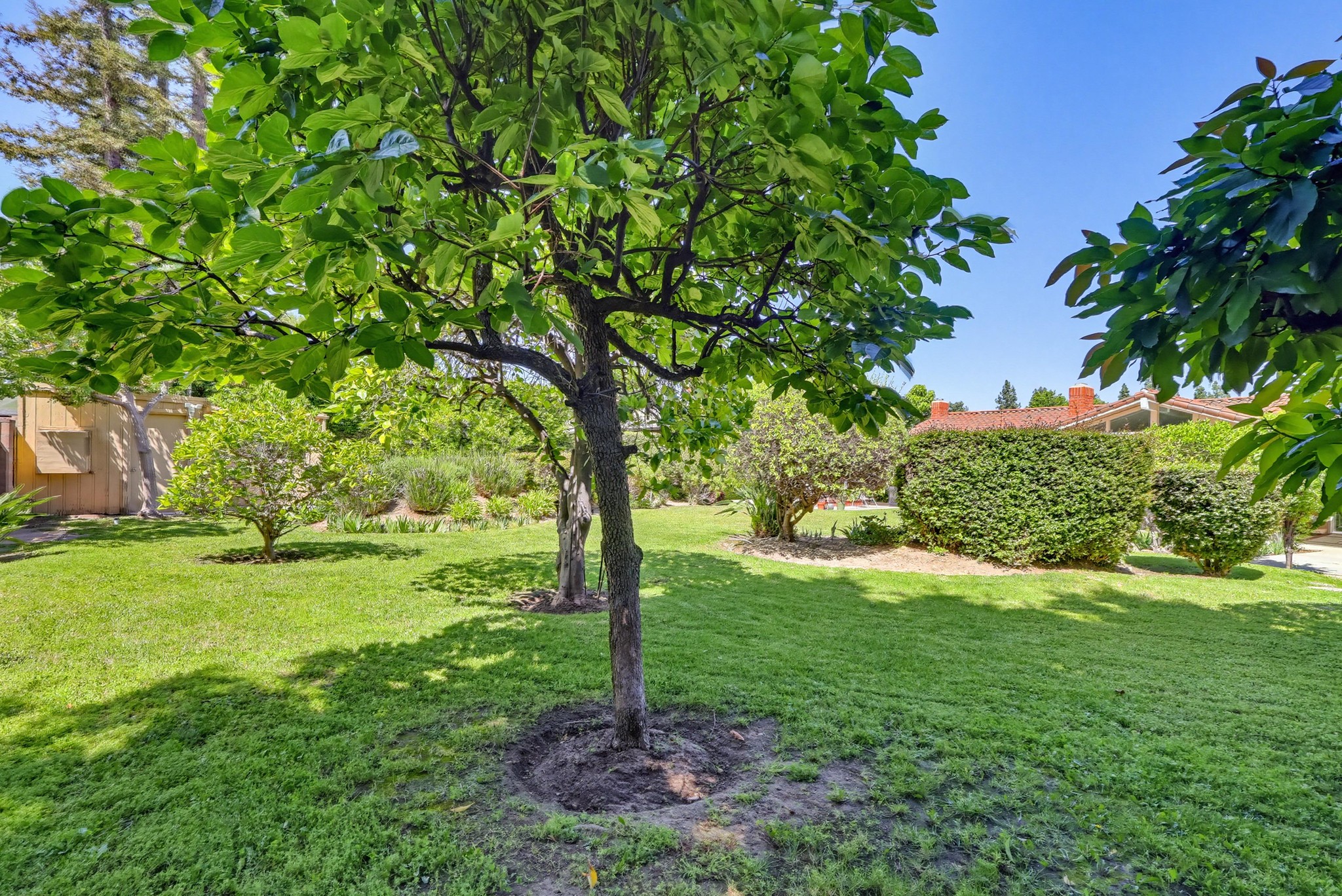 Virtual tour photo 106 of 117 for 9411 Balcom Ave