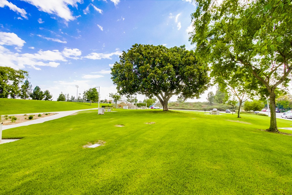 Virtual tour photo 39 of 38 for 9423 Gold Coast Dr