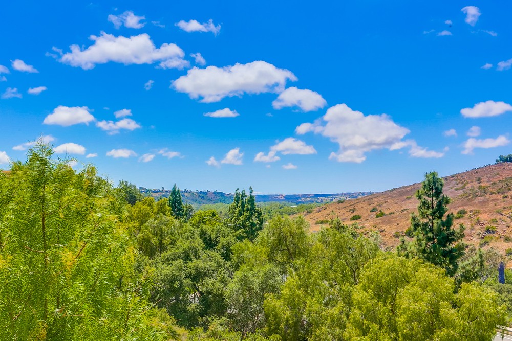 Virtual tour photo 49 of 66 for 9514 Hito Ct