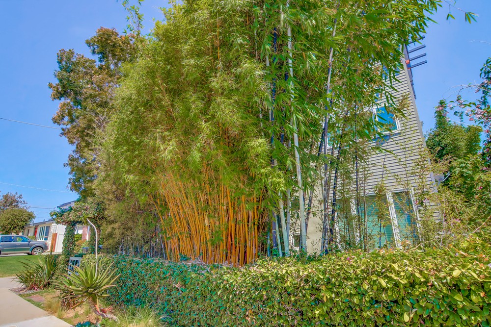 Virtual tour photo 4 of 77 for 953 Temple St