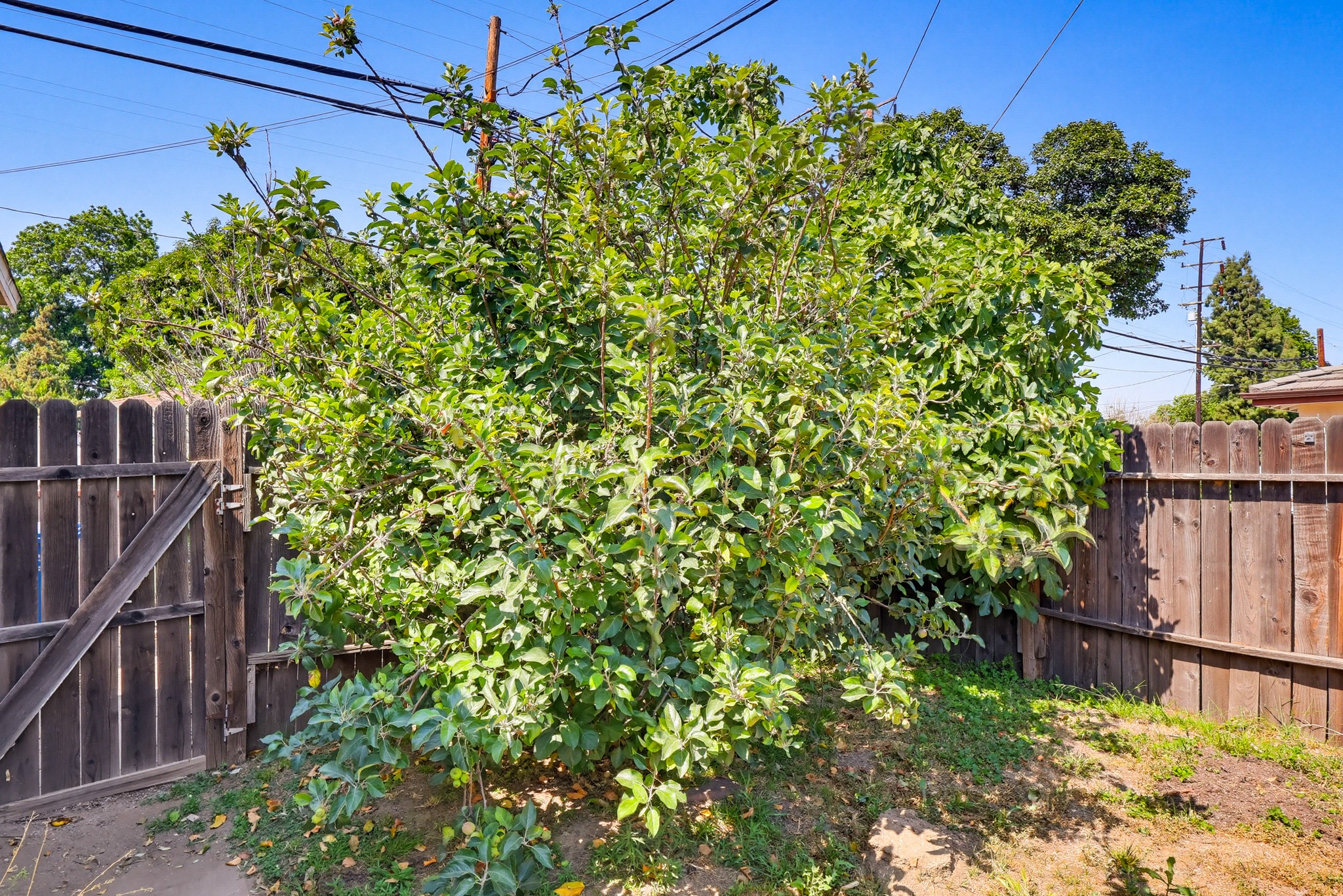 Virtual tour photo 70 of 82 for 9602 Olive St