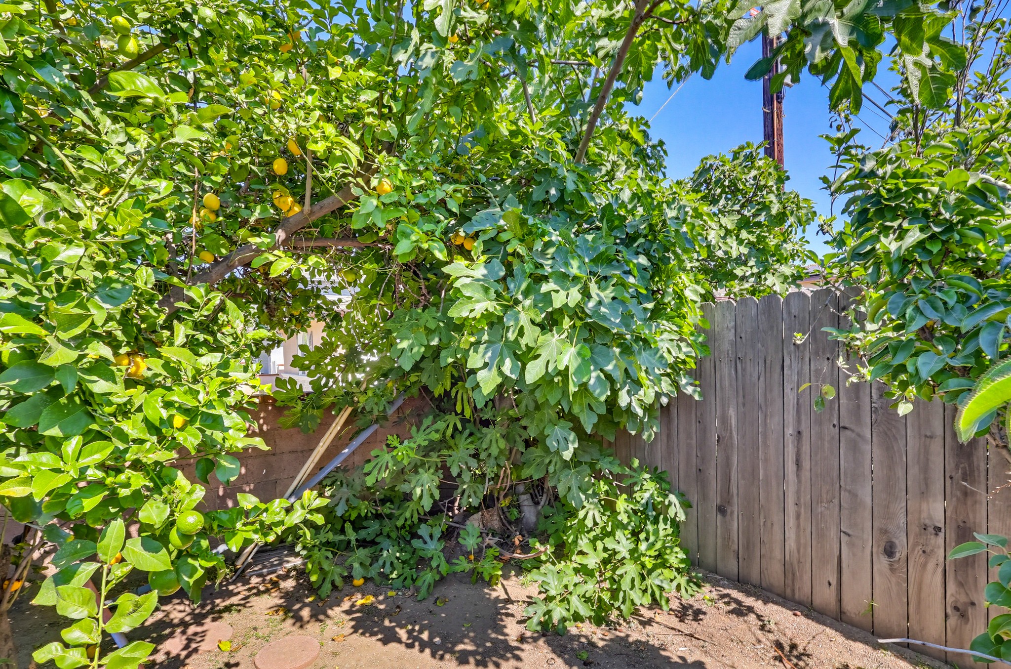 Virtual tour photo 72 of 82 for 9602 Olive St