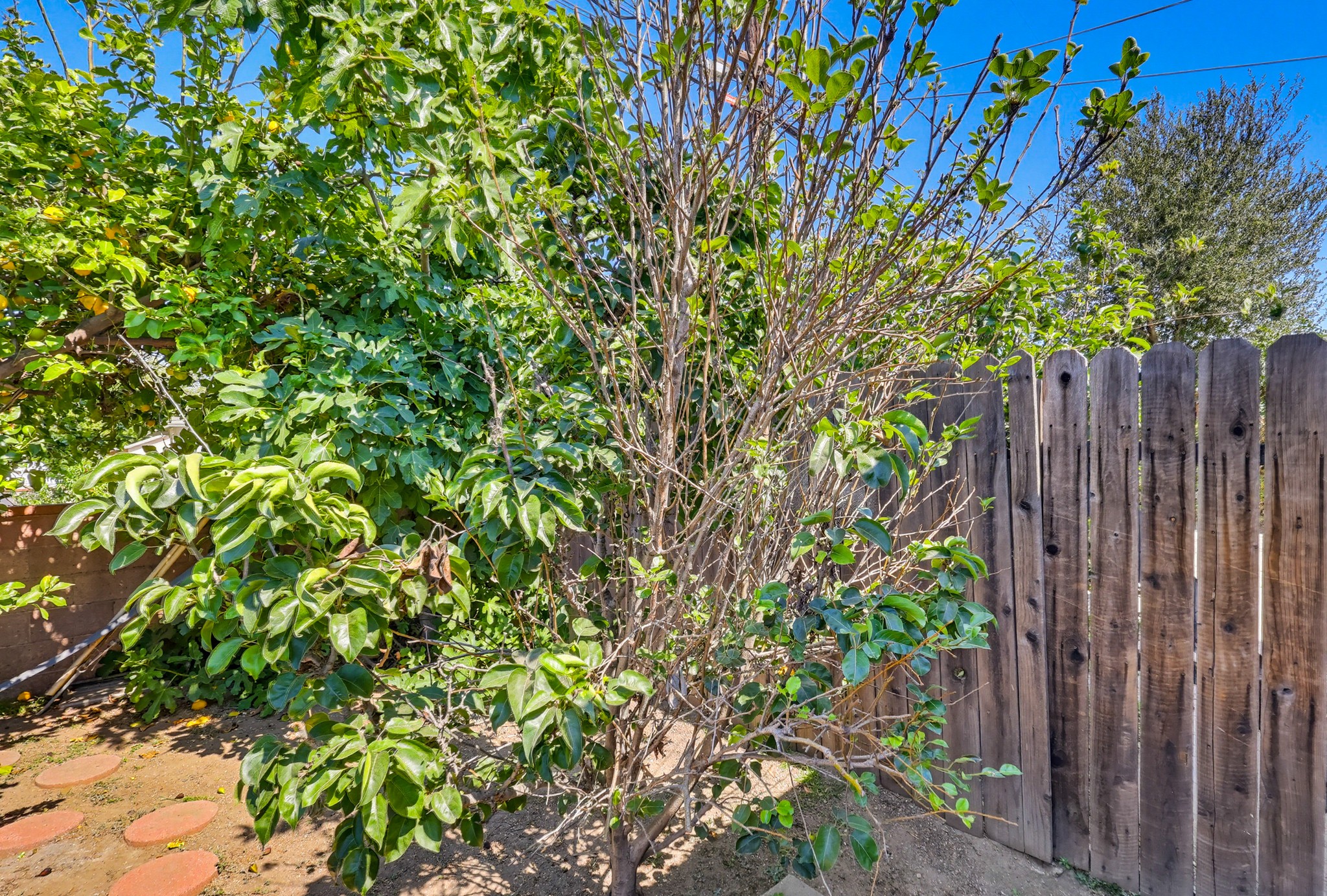 Virtual tour photo 73 of 82 for 9602 Olive St
