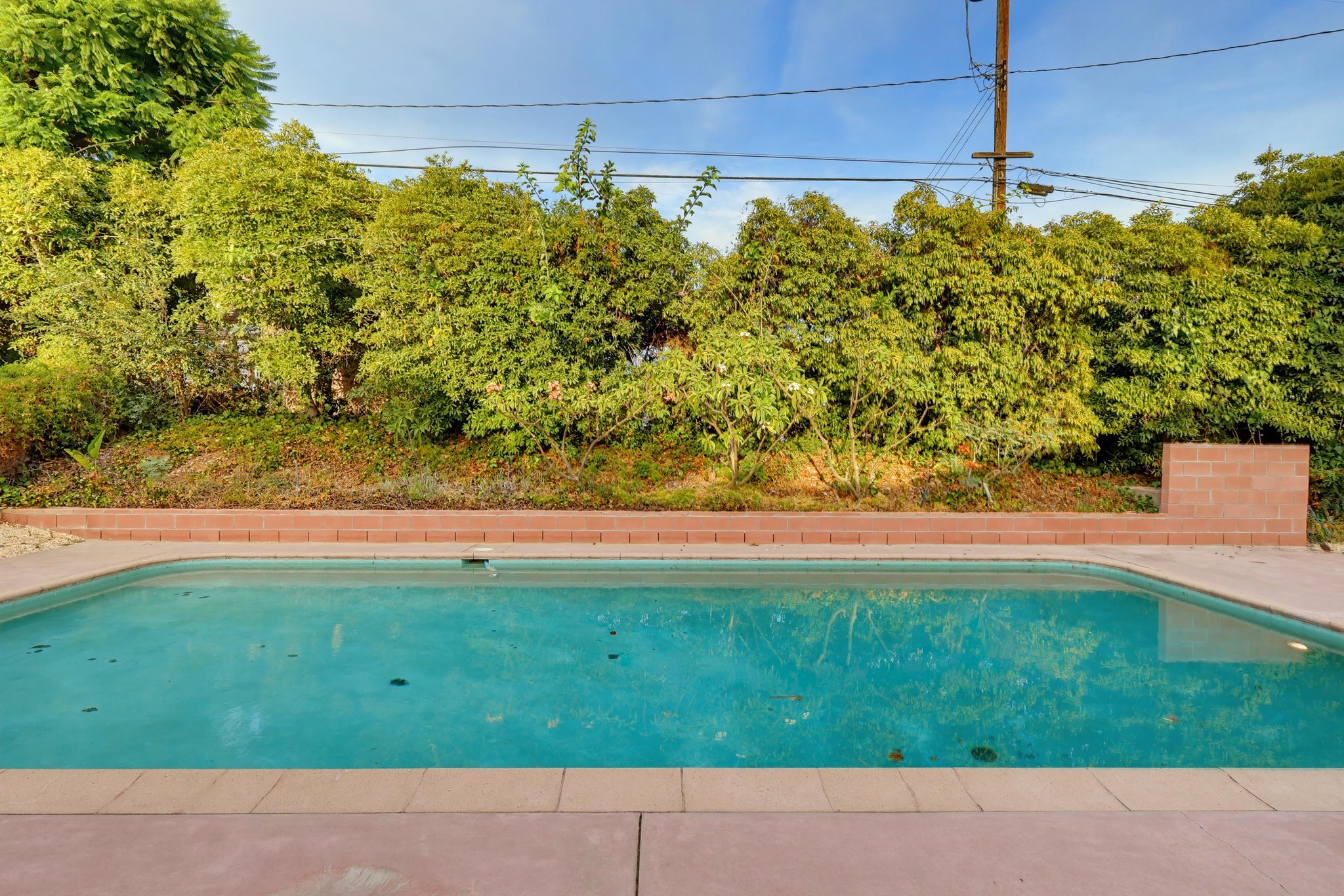 Virtual tour photo 6 of 119 for 9636 El Venado Dr