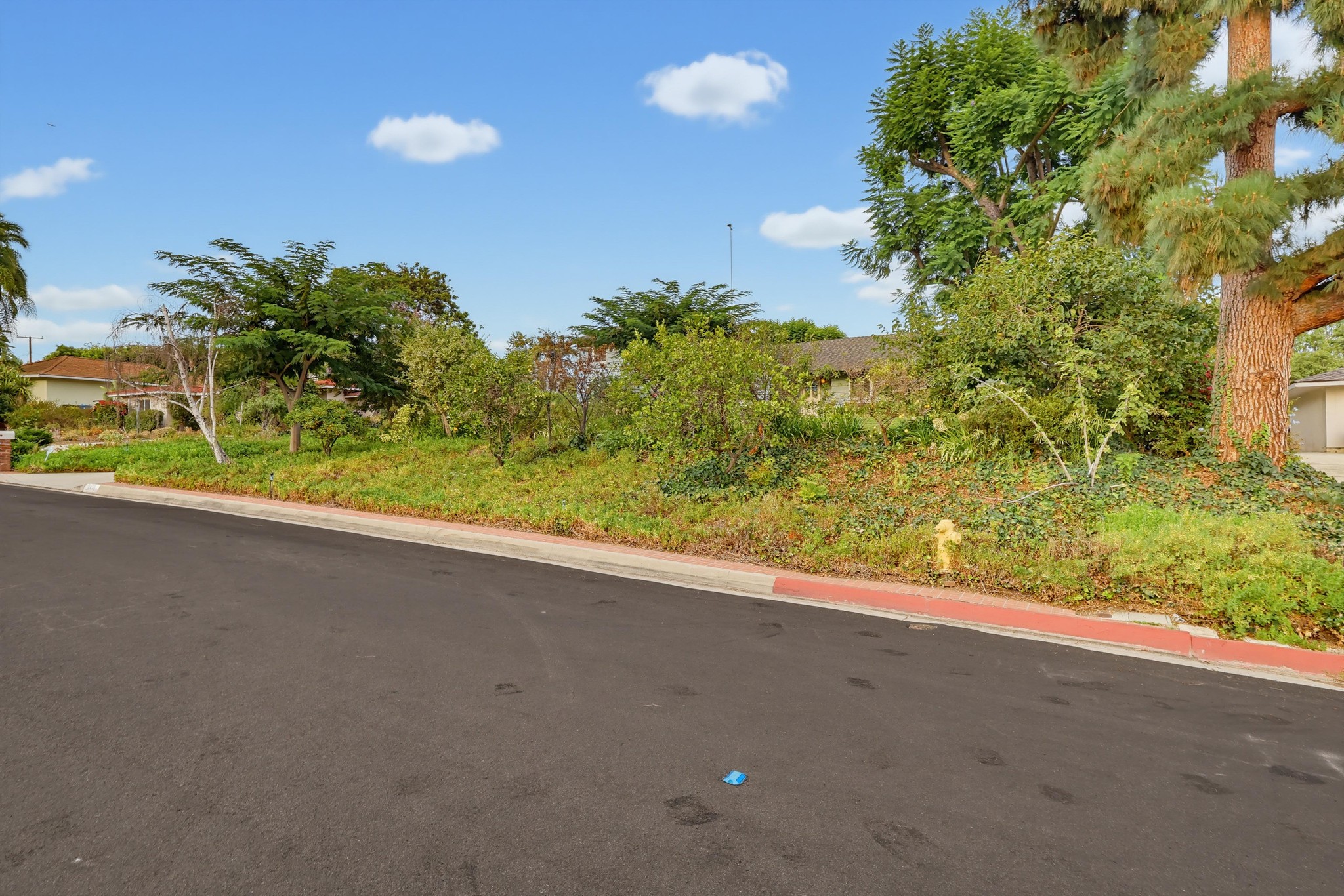 Virtual tour photo 103 of 119 for 9636 El Venado Dr