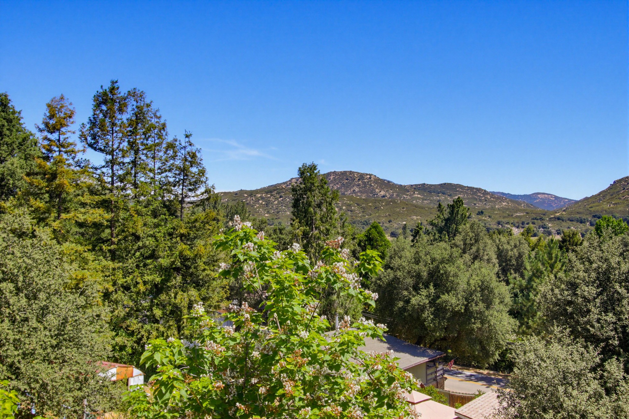 Virtual tour photo 8 of 56 for 9640 Oak Grove Dr