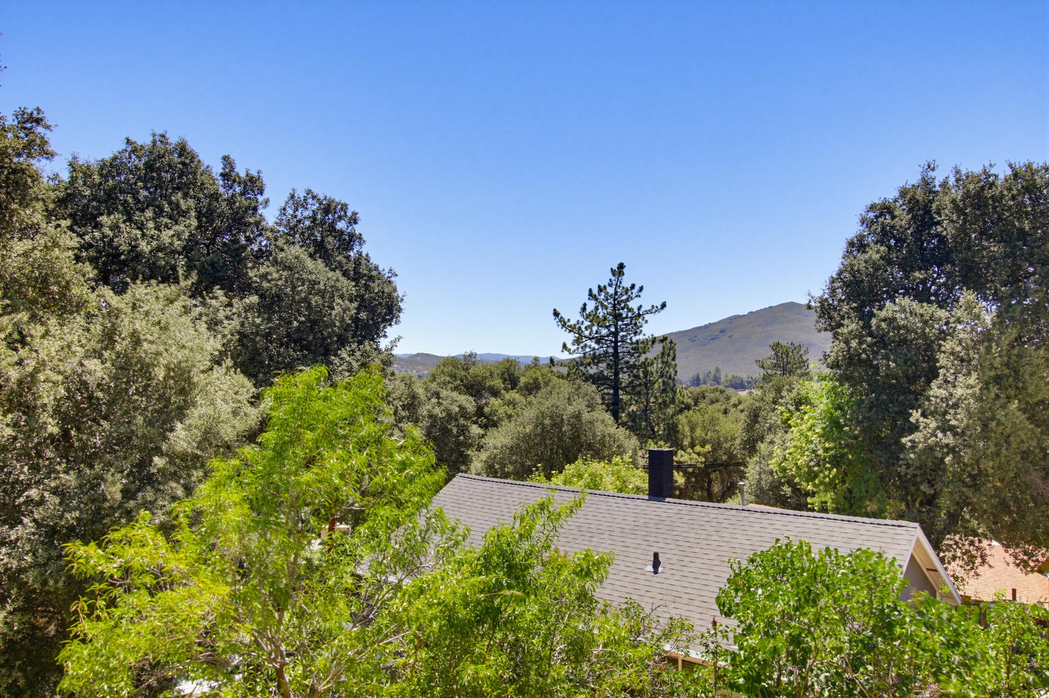 Virtual tour photo 42 of 56 for 9640 Oak Grove Dr