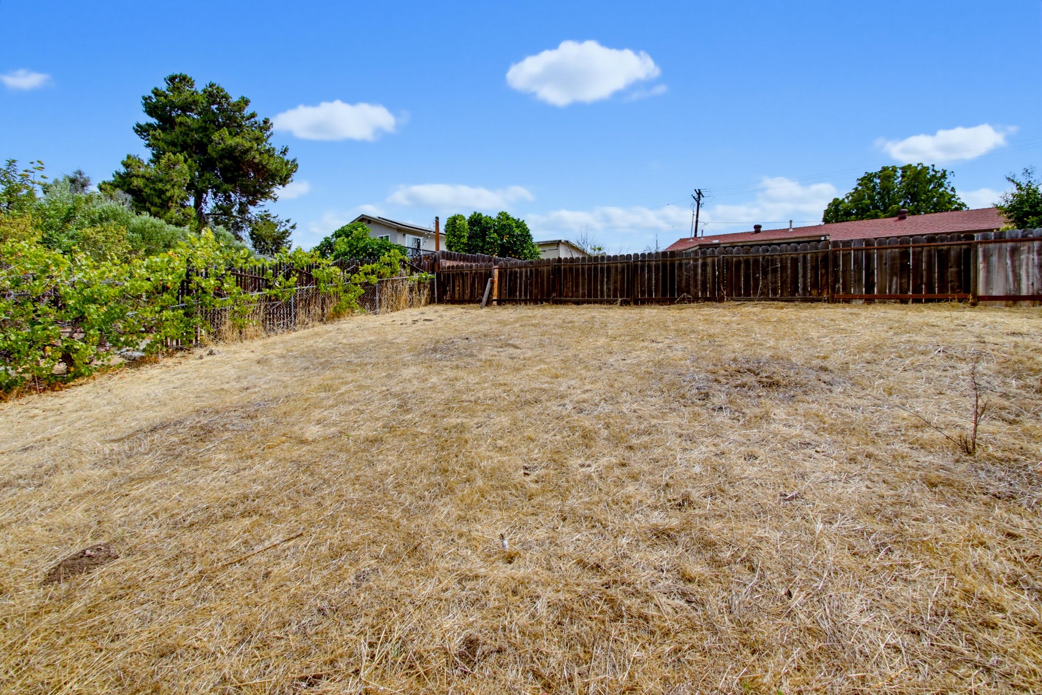 Virtual tour photo 39 of 44 for 9649 Halberns Blvd