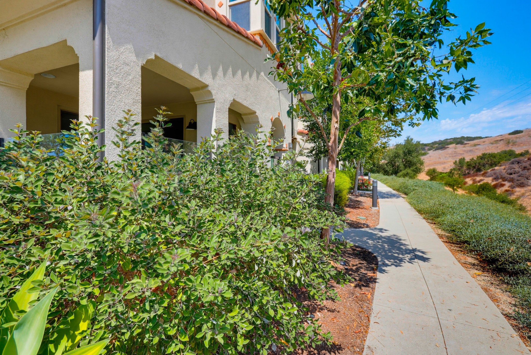 Virtual tour photo 3 of 66 for 97 Adelfa St