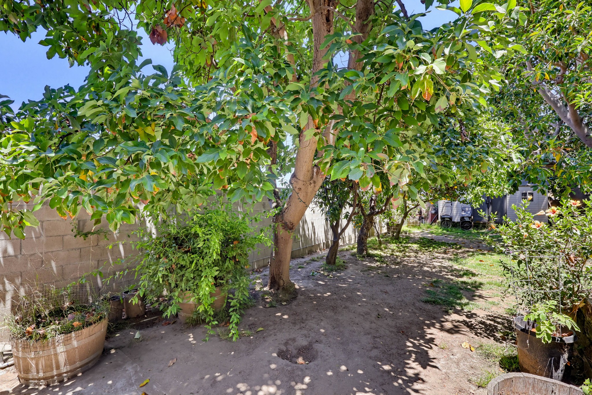 Virtual tour photo 43 of 57 for 970 N Meyler St