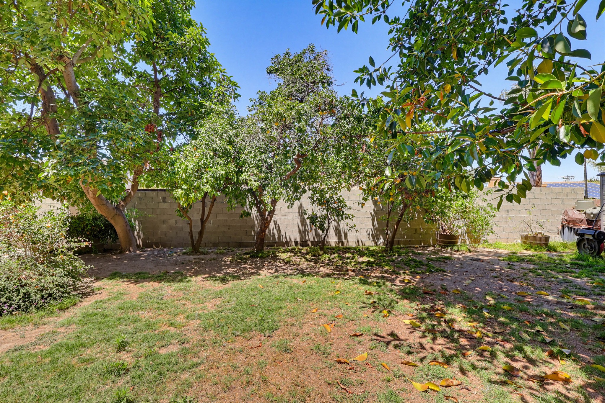 Virtual tour photo 47 of 57 for 970 N Meyler St