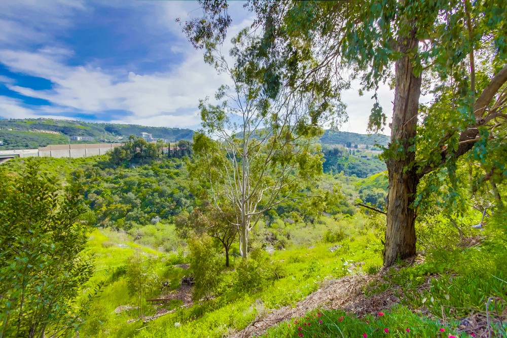 Virtual tour photo 42 of 45 for 9741 Paseo Montril