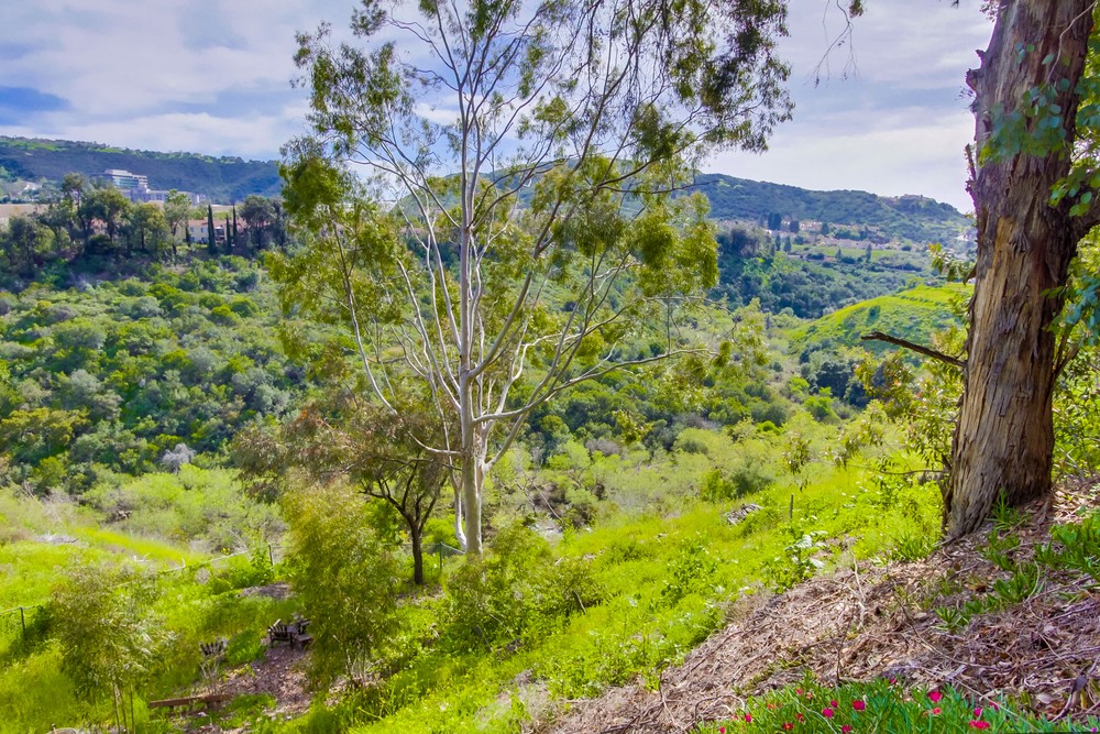 Virtual tour photo 43 of 45 for 9741 Paseo Montril