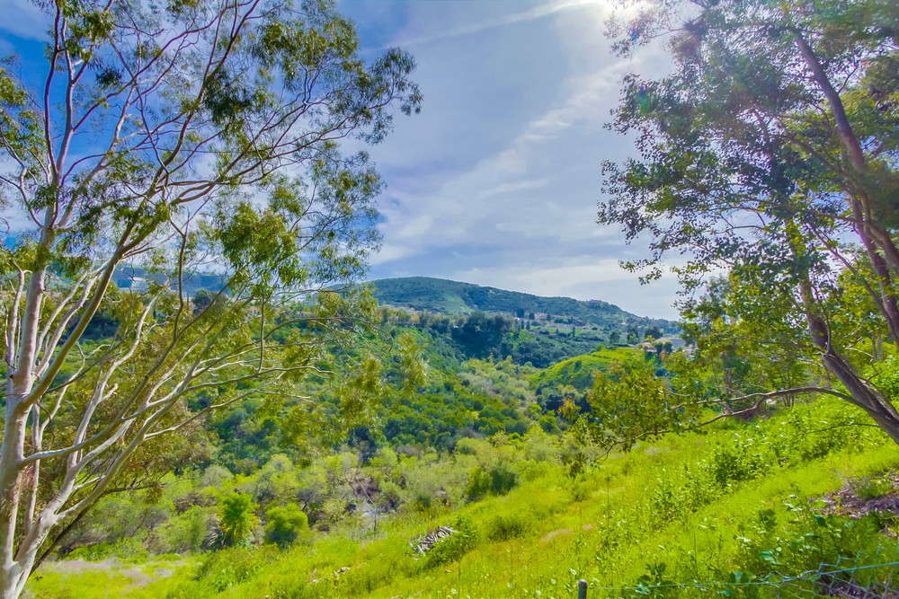 Virtual tour photo 44 of 45 for 9741 Paseo Montril