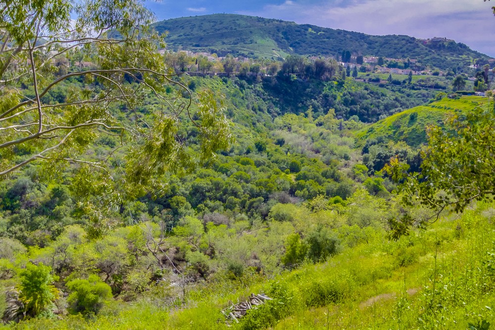 Virtual tour photo 45 of 45 for 9741 Paseo Montril
