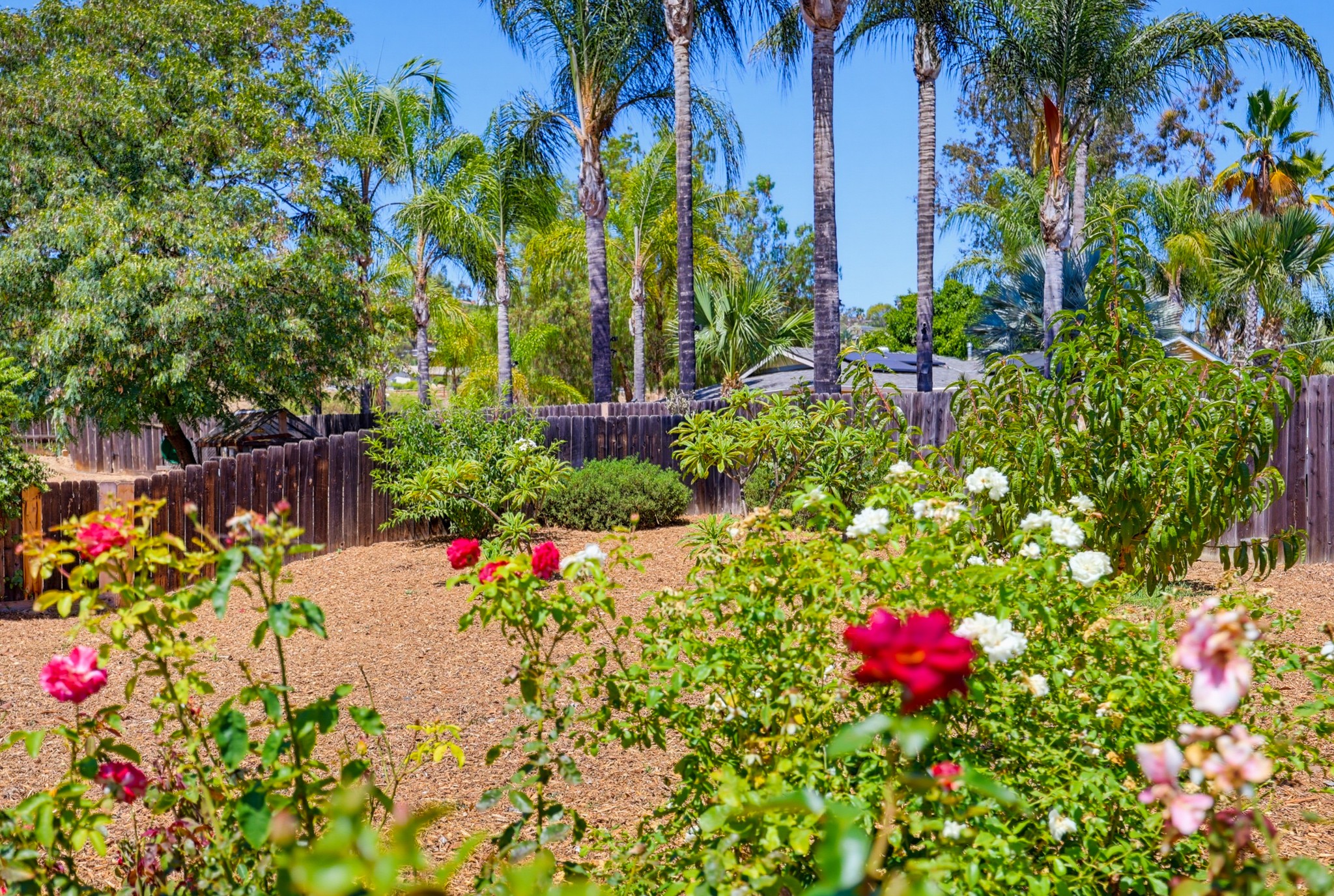 Virtual tour photo 69 of 76 for 9744 Sierra Madre Rd