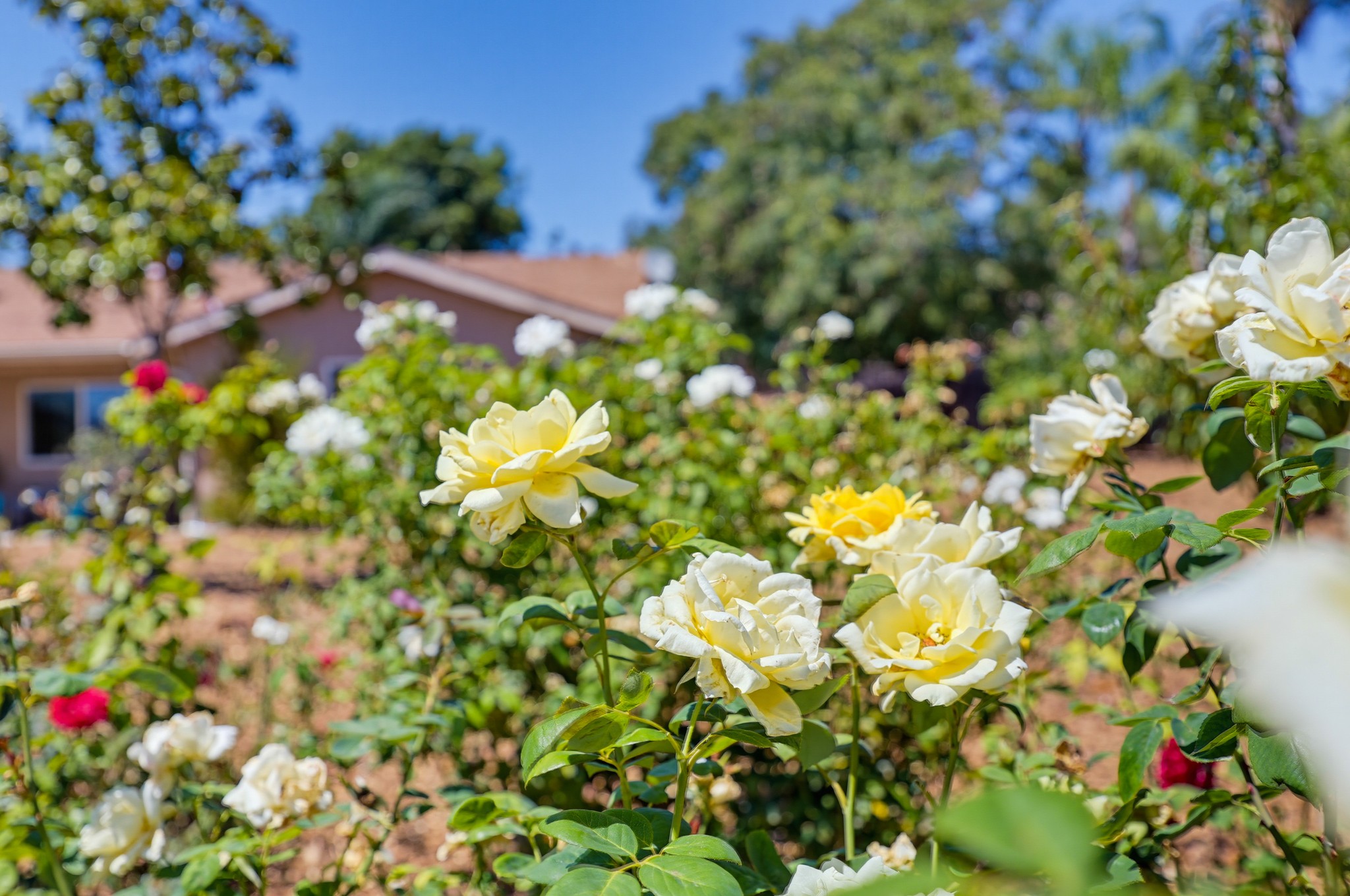 Virtual tour photo 73 of 76 for 9744 Sierra Madre Rd