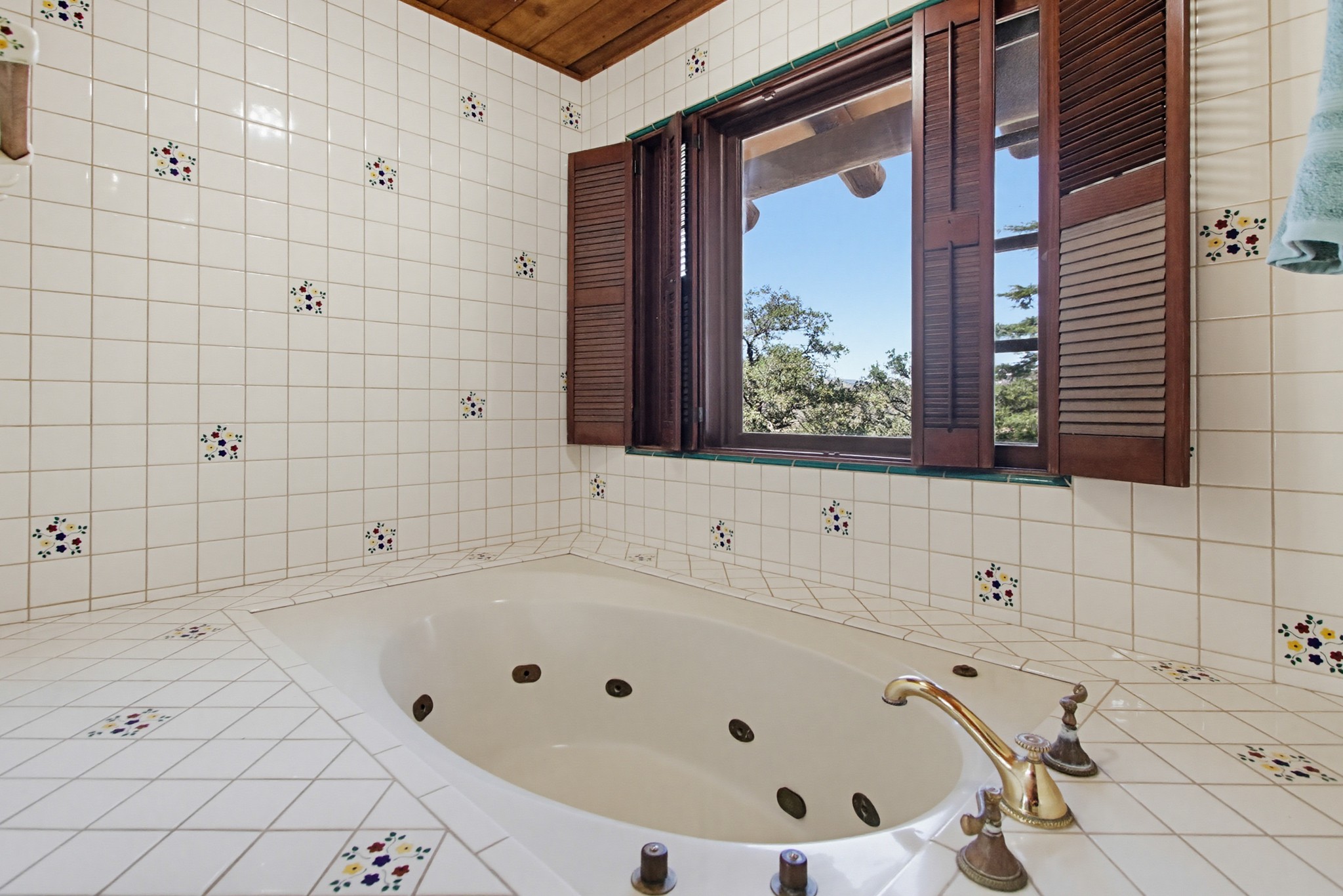 Virtual tour photo 71 of 150 for 9776 Chiquita Rd
