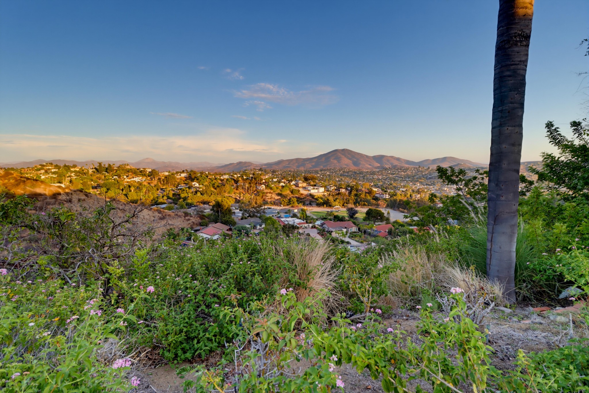 Virtual tour photo 77 of 87 for 9807 Ogram Dr