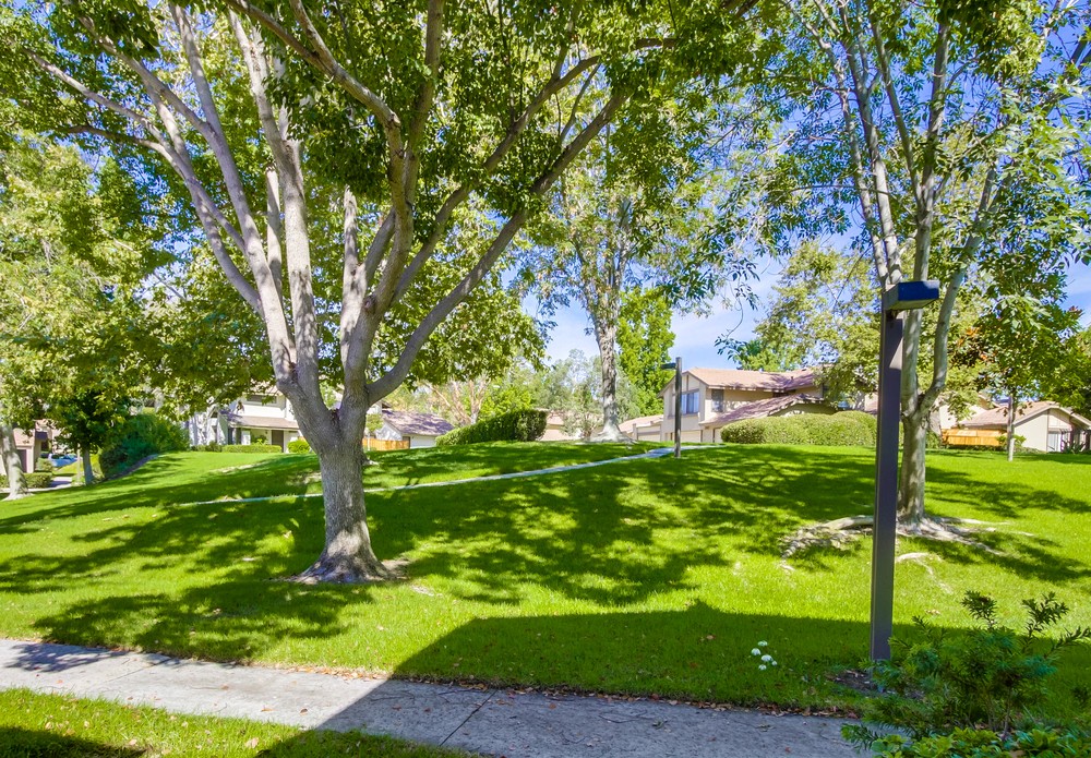 Virtual tour photo 41 of 47 for 9816 Rimpark Way