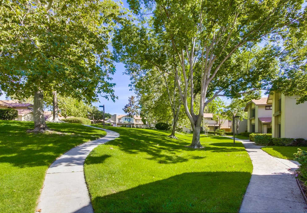 Virtual tour photo 42 of 47 for 9816 Rimpark Way