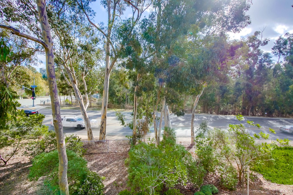 Virtual tour photo 22 of 26 for 9829 Caminito Marlock