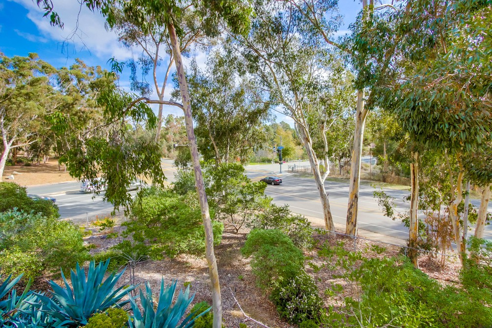 Virtual tour photo 23 of 26 for 9829 Caminito Marlock